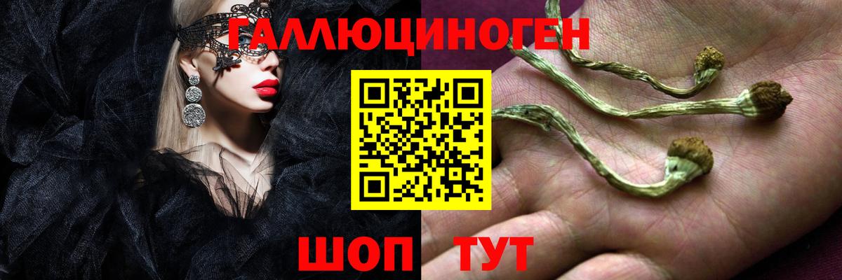 Миасс  Псилоцибиновые грибы Psilocybine cubensis  Вход с VPN 